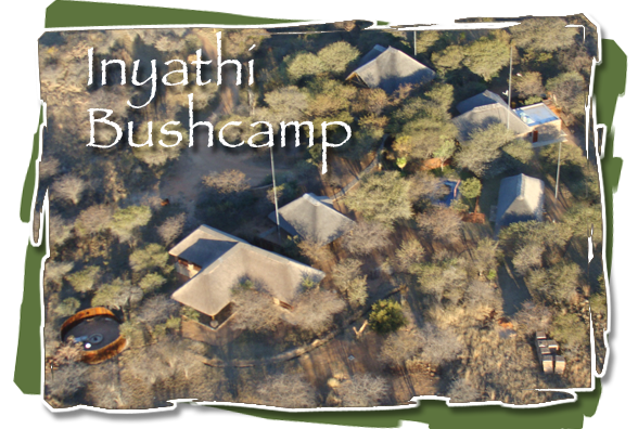 Inyathi